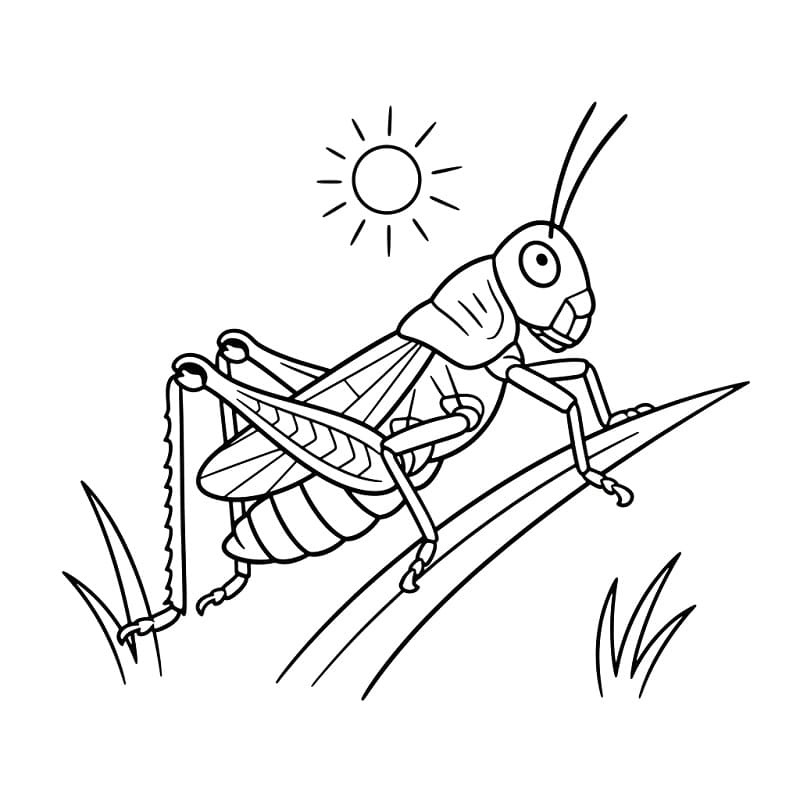 Szöcske Nyomtatható Gyerekeknek