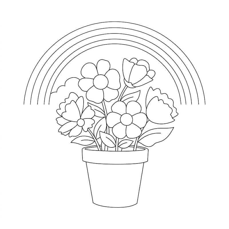 Virágcserép és Szivárvány