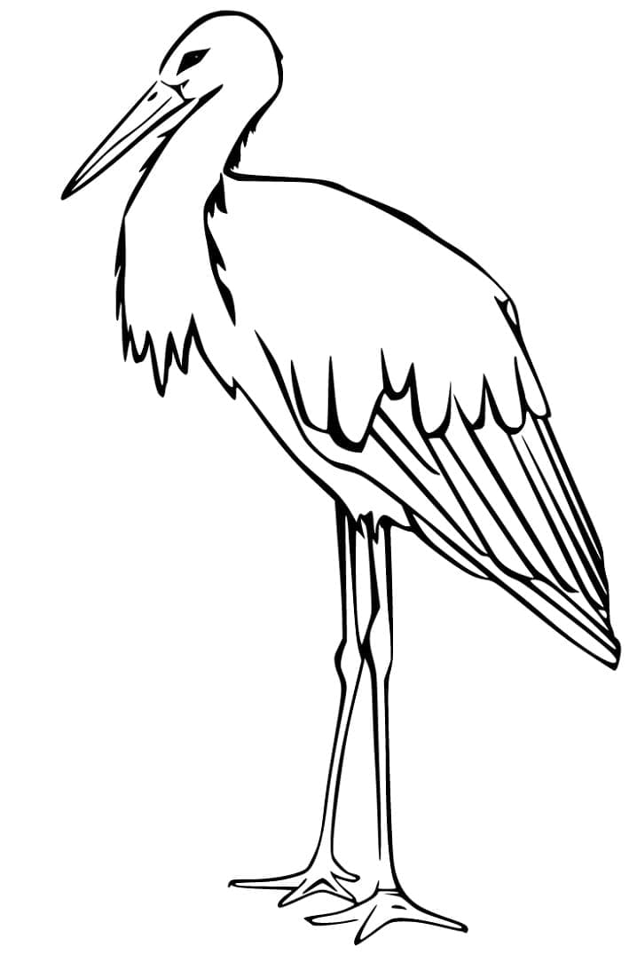 Gólya Nyomtatható
