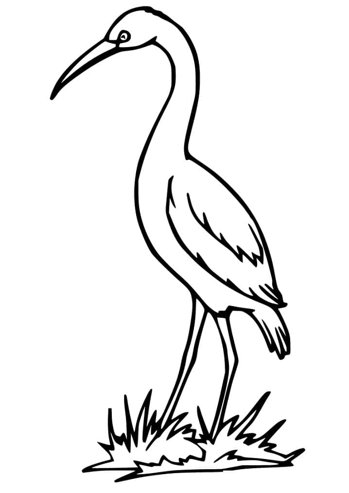 Ingyenes Gólya Nyomtatásra