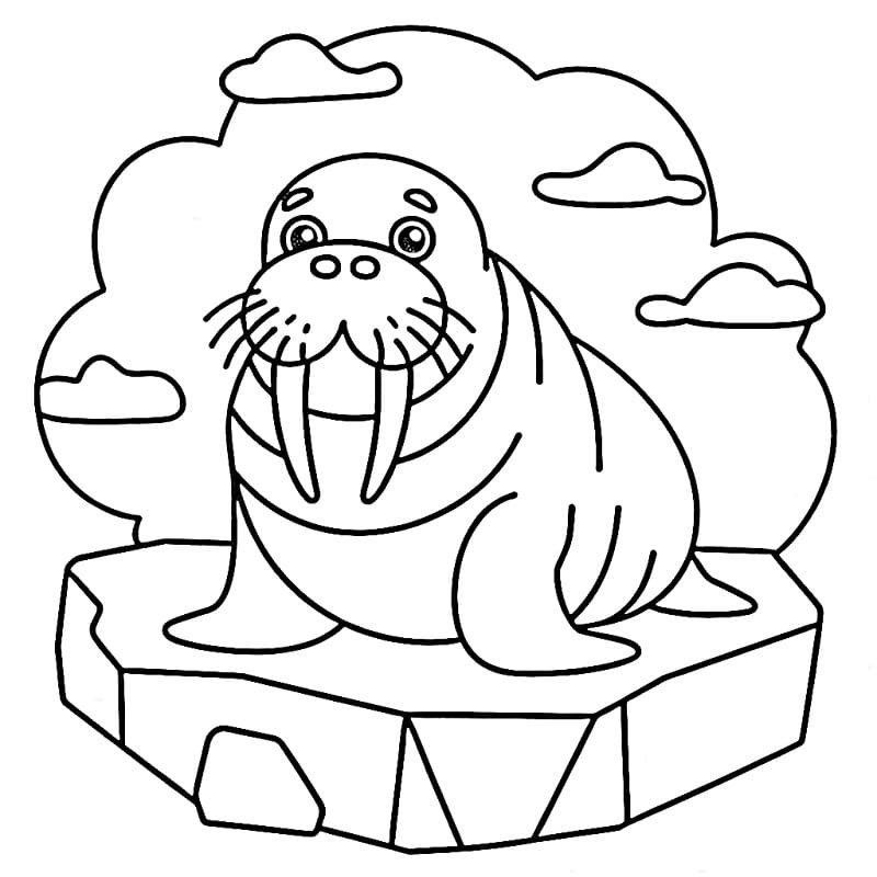 Nyomtatható Rozmár