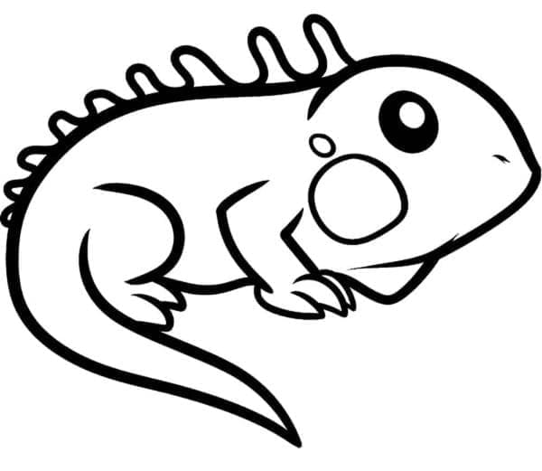 Leguán Nyomtatásra