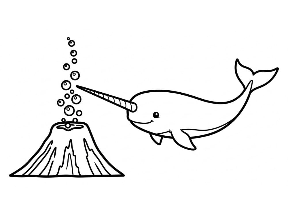 Nyomtatható Narvál