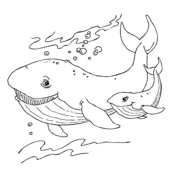 Bálna 2 Éves Gyerekeknek