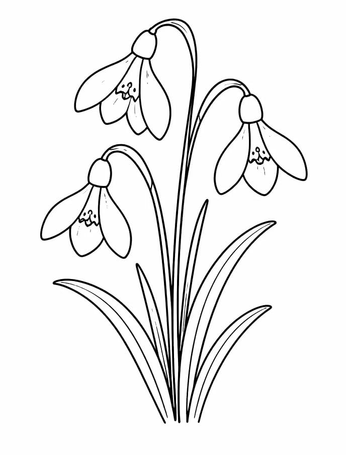 Egy Hóvirág Virág