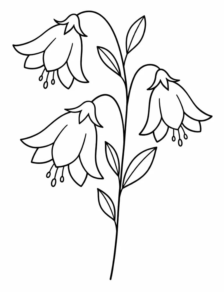 Gyönyörű Harangvirág