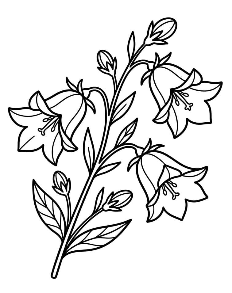 Harangvirág Ingyenes Nyomtatható