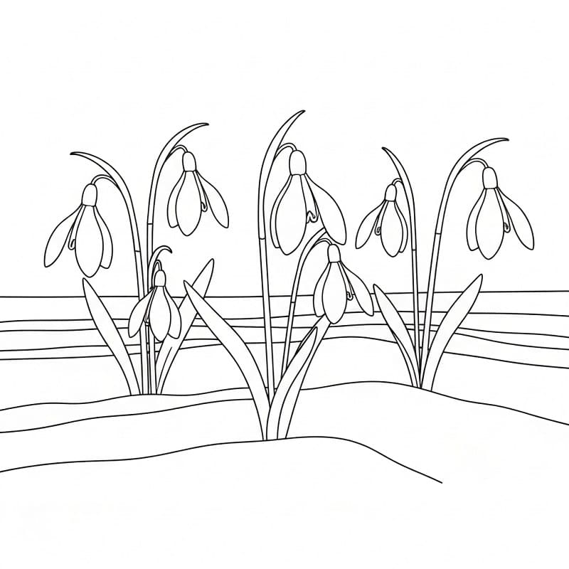 Hóvirág 1 Éves Gyerekeknek