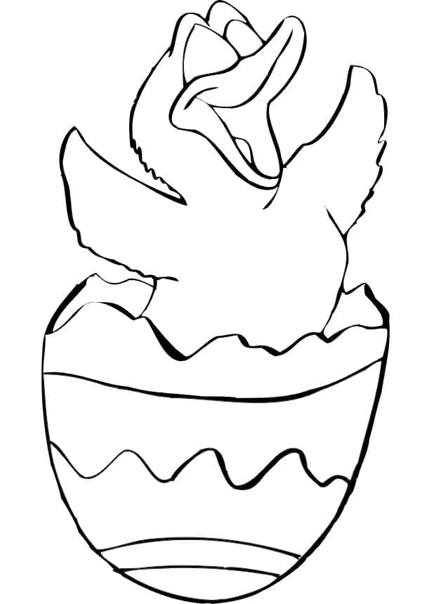 Húsvéti Csibe Ajándékba