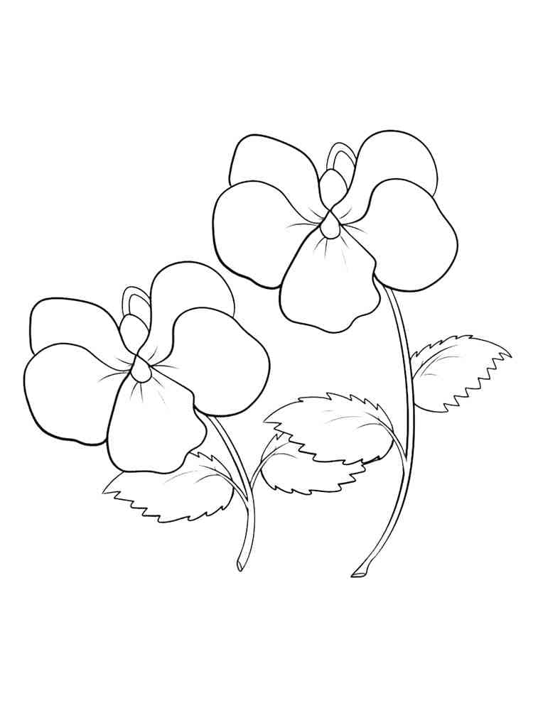 Ibolya 4 Éves Gyerekeknek