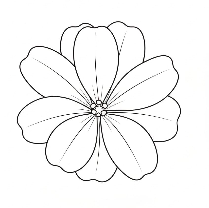 Ibolya Ingyenes Kép