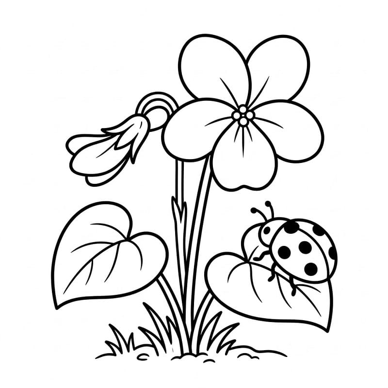 Ibolya Nyomtatható Kép