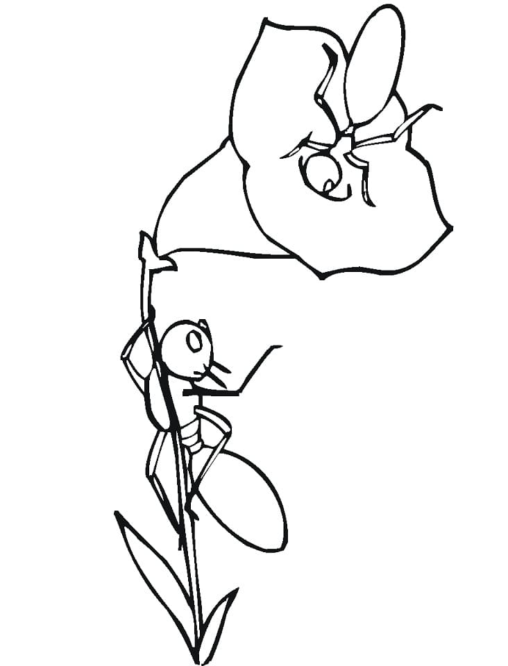 Ingyenes Hangya Kép