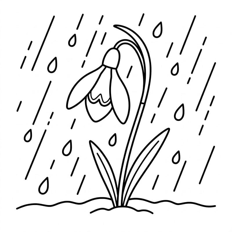 Ingyenes Hóvirág Nyomtatásra