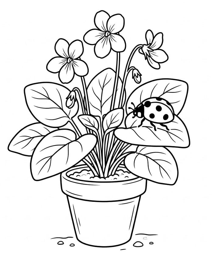 Ingyenes Ibolya Nyomtatható