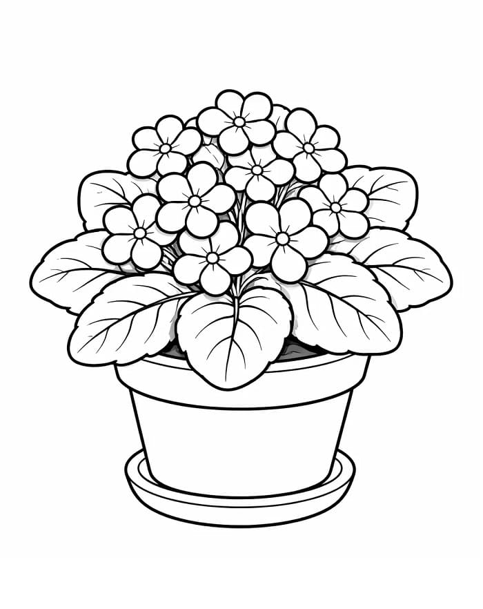 Ingyenes Nyomtatható Ibolya