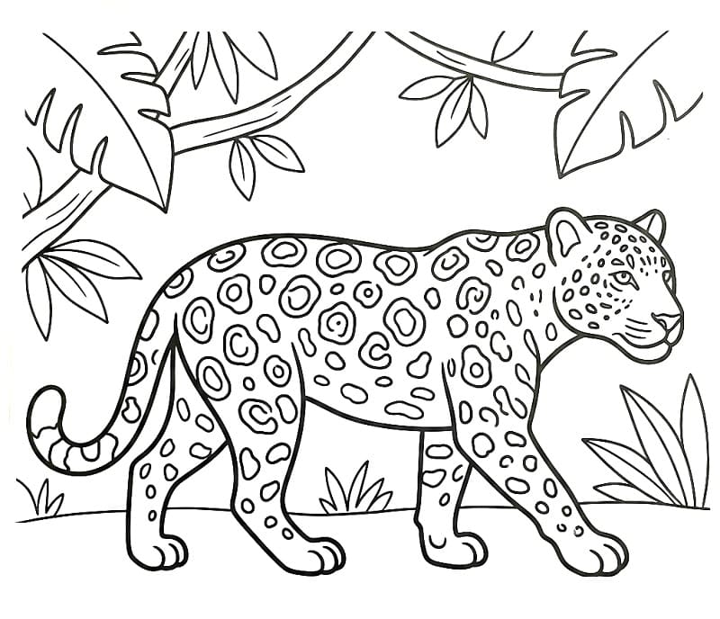 Jaguár a dzsungelben