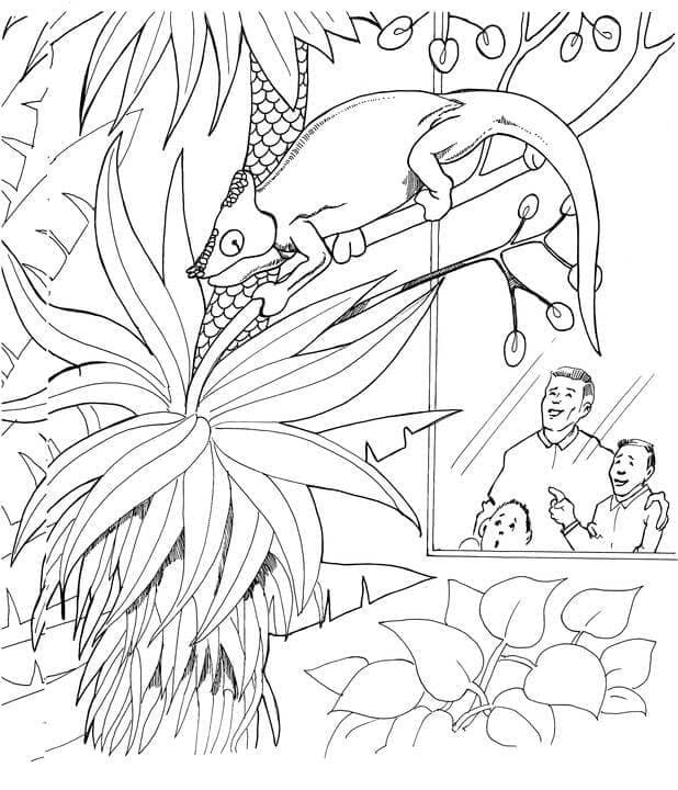 Kaméleon az Állatkertben