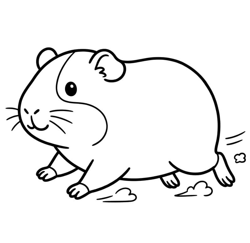 Lenyűgöző Tengerimalac