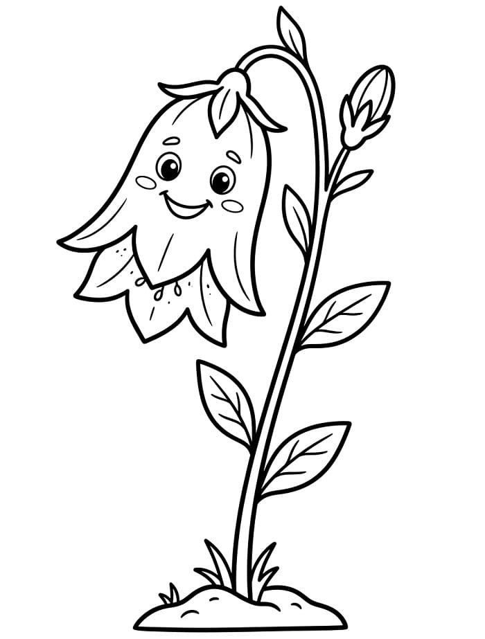 Nyomtatható Harangvirág