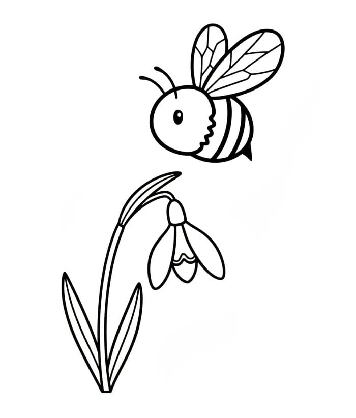 Nyomtatható Hóvirág Ajándékba