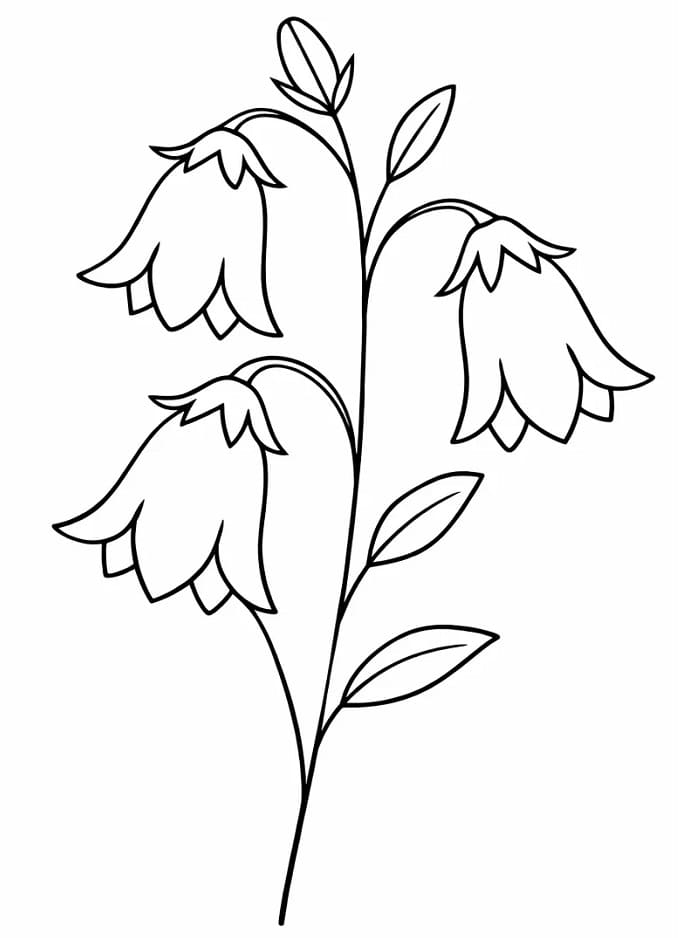 Páratlan Harangvirág