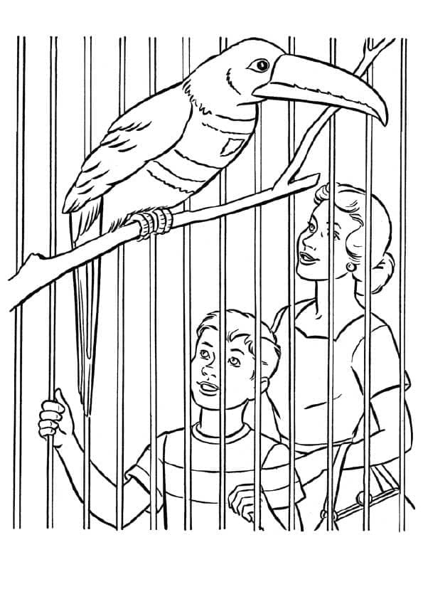 Tukán az Állatkertben