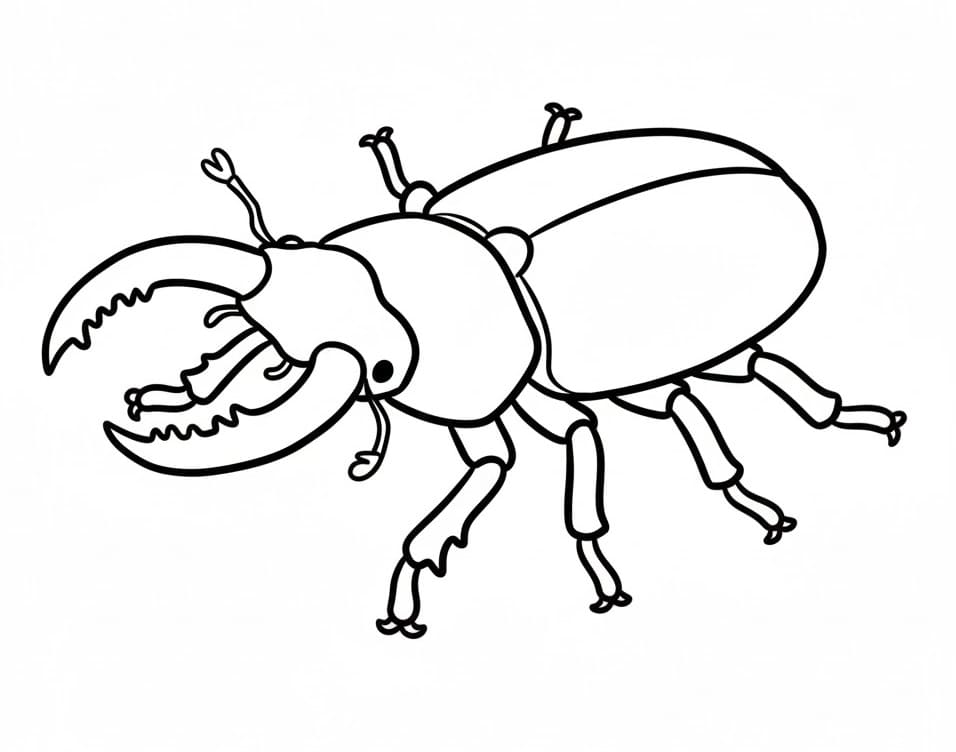 Bogár 3 Éves Gyerekeknek