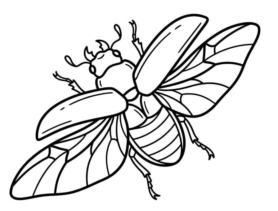 Bogár 5 Éves Gyerekeknek