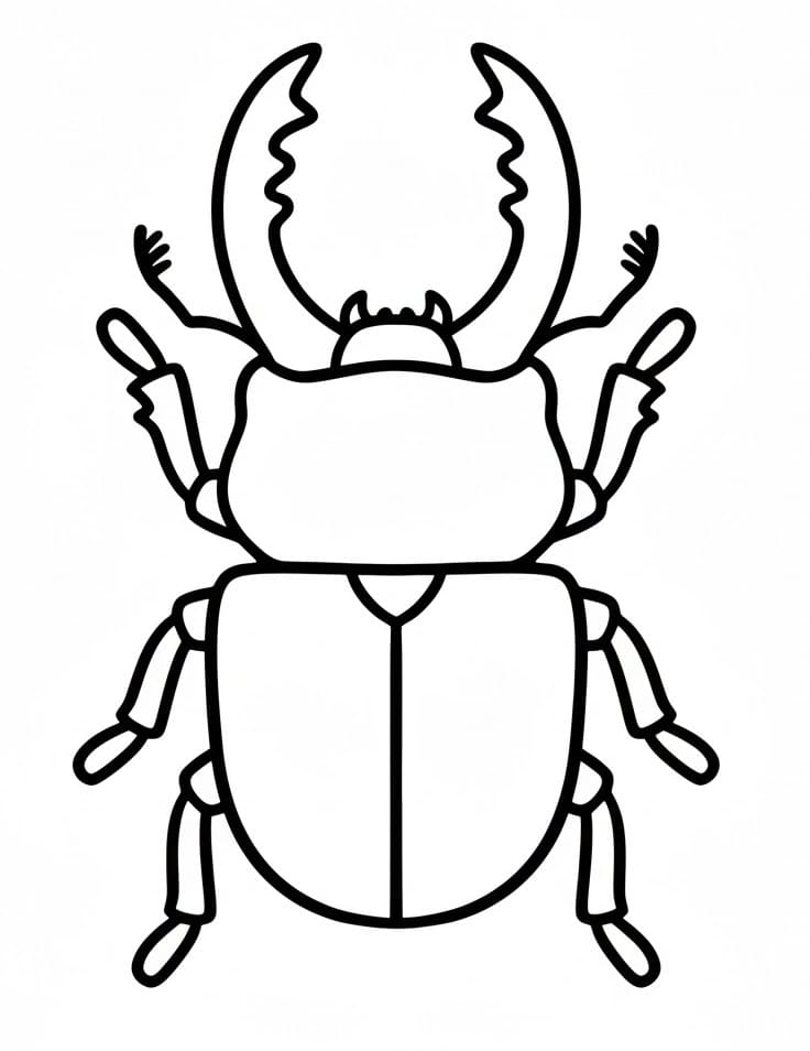 Bogár 6 Éves Gyerekeknek