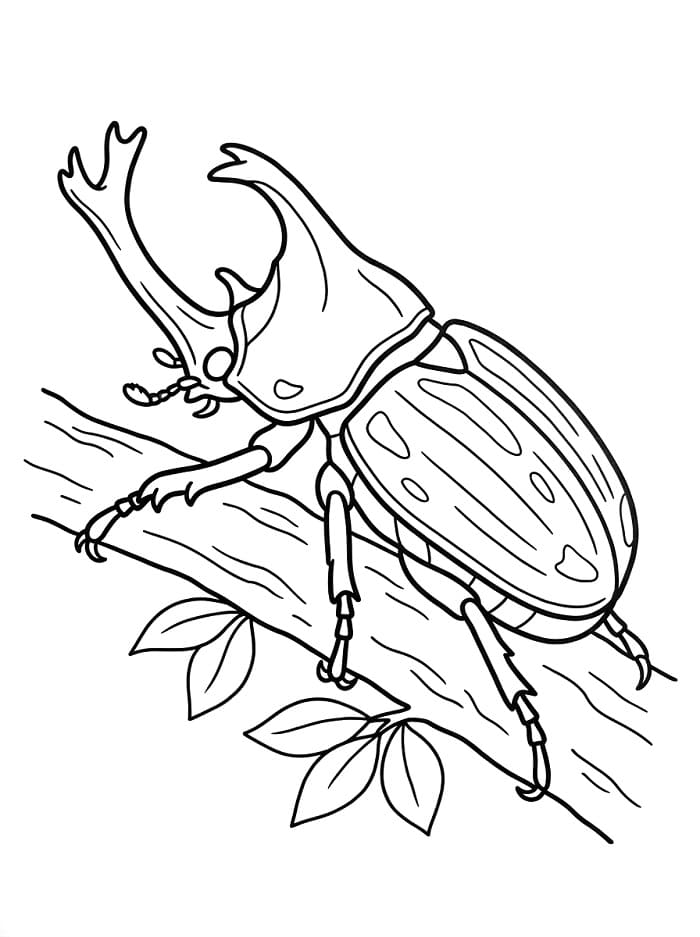 Bogár Nyomtatható Gyerekeknek