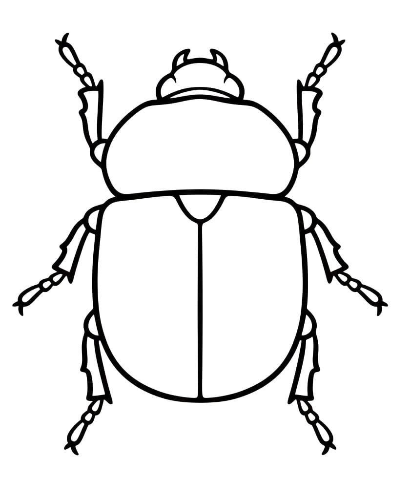 Bogár Nyomtatható Kép