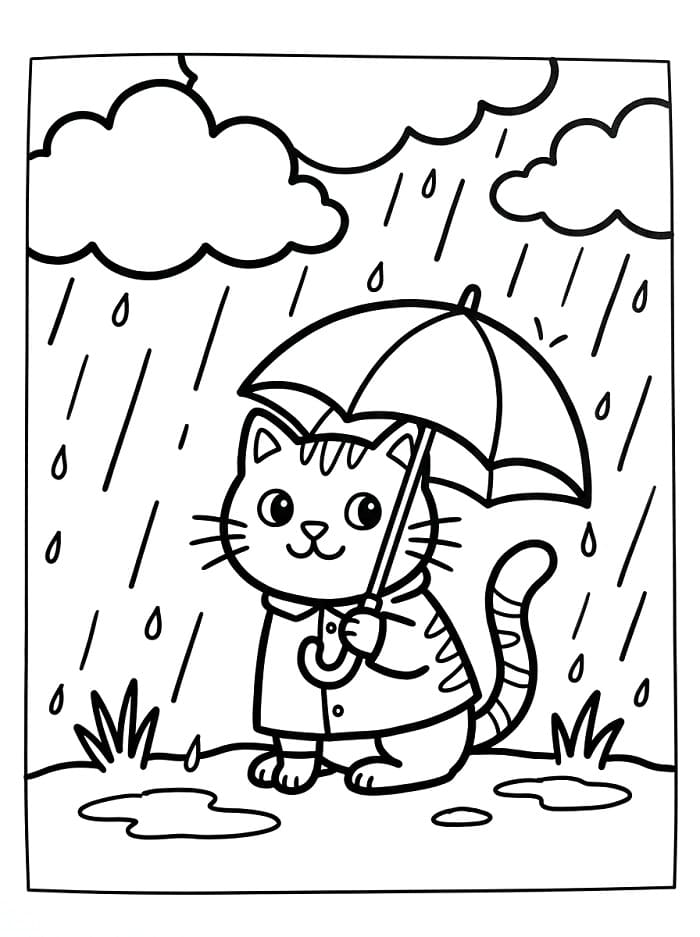 Cuki macska az eső alatt