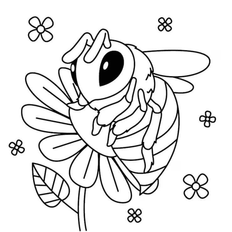 Ingyenes nyomtatható rovarok