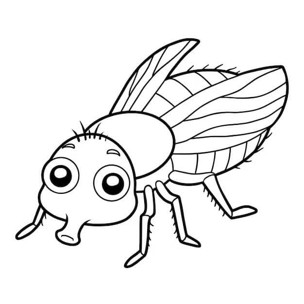 Ingyenesen nyomtatható rovarok