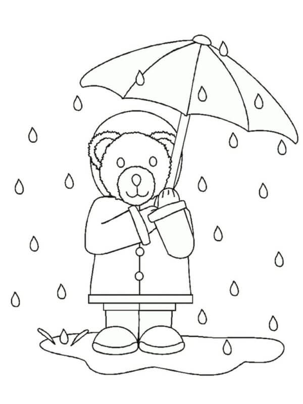 Kis medve az esőben