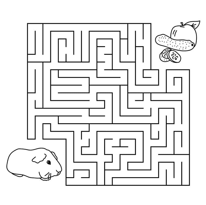 Labirint Ajándékba