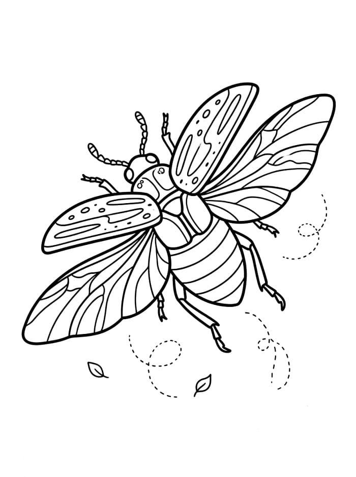 Nyomtatható Bogár Kép