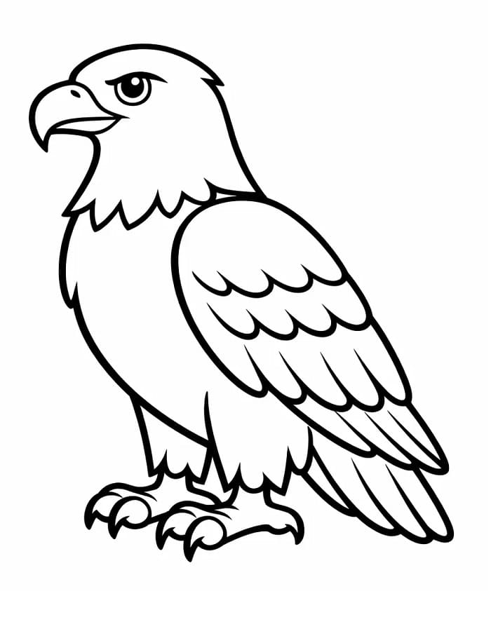 Nyomtatható Ingyenes Sas