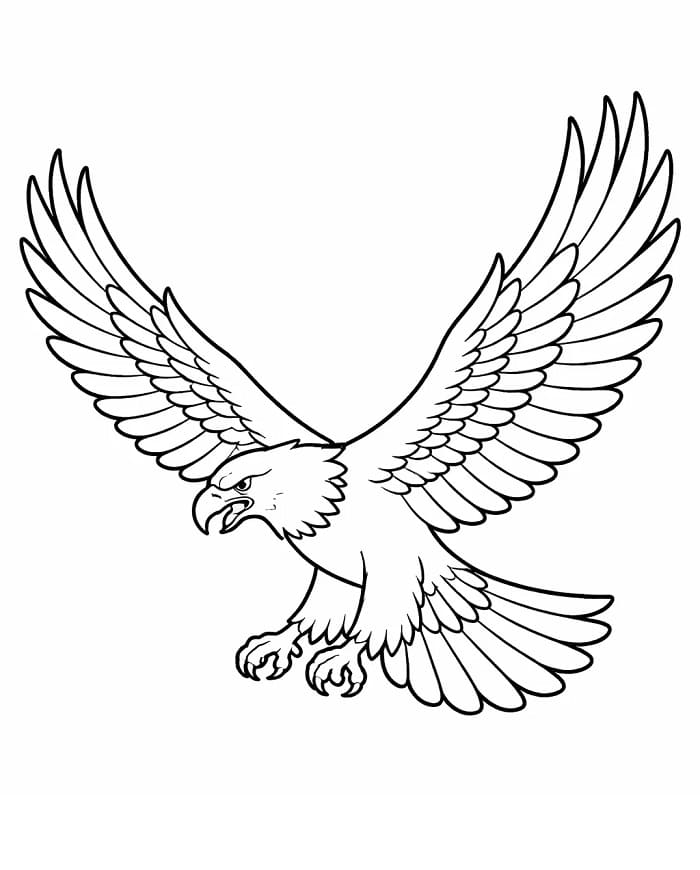 Nyomtatható Sas Ajándékba