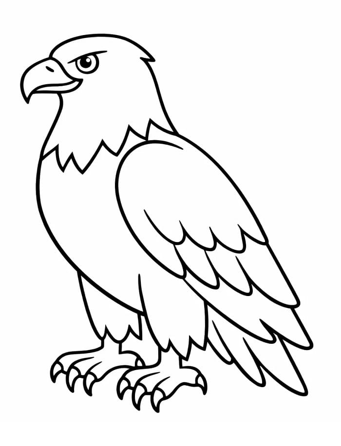 Nyomtatható Sas Kép