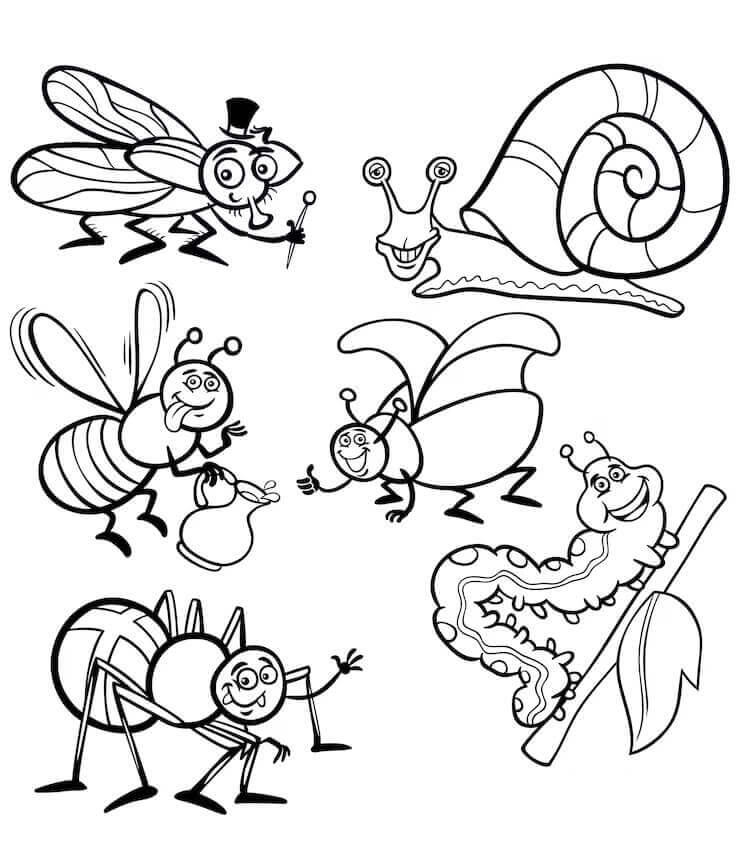 Rovarok 2 éves gyerekeknek