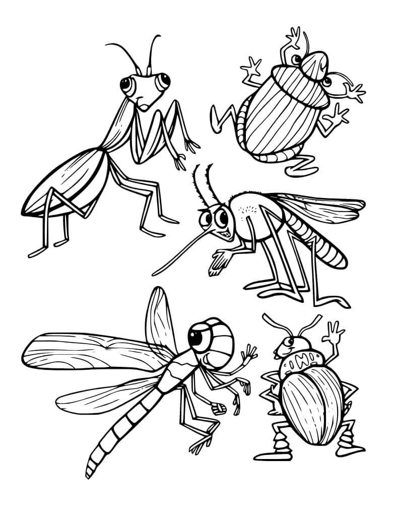 Rovarok 4 éves gyerekeknek