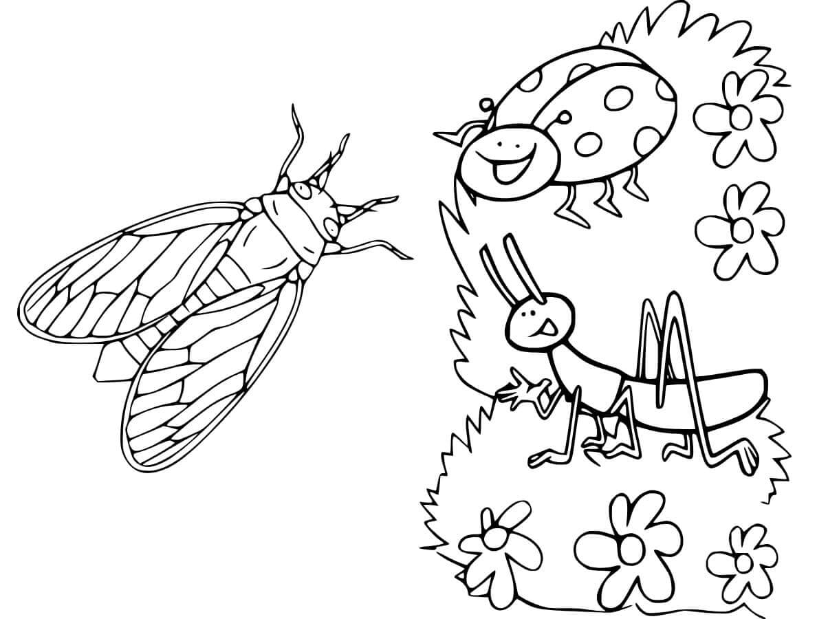 Rovarok 6 éves gyerekeknek