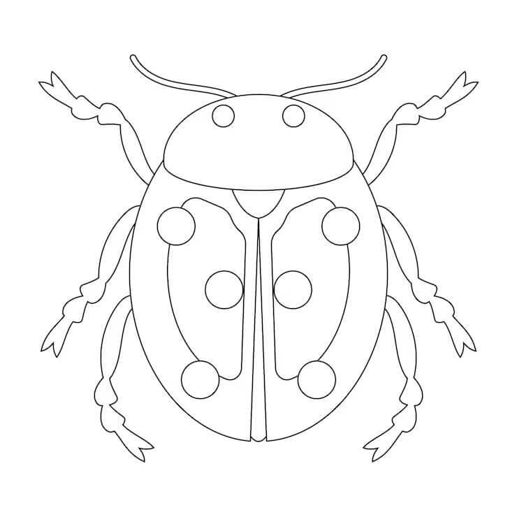 Rovarok nyomtatása ingyen