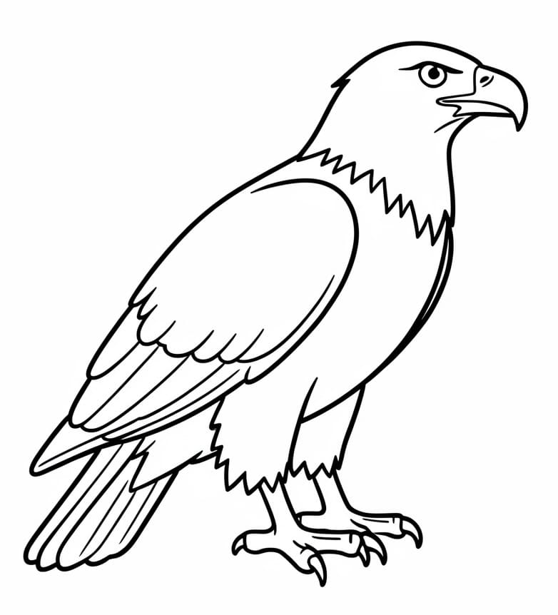 Sas Ingyenes Gyerekeknek