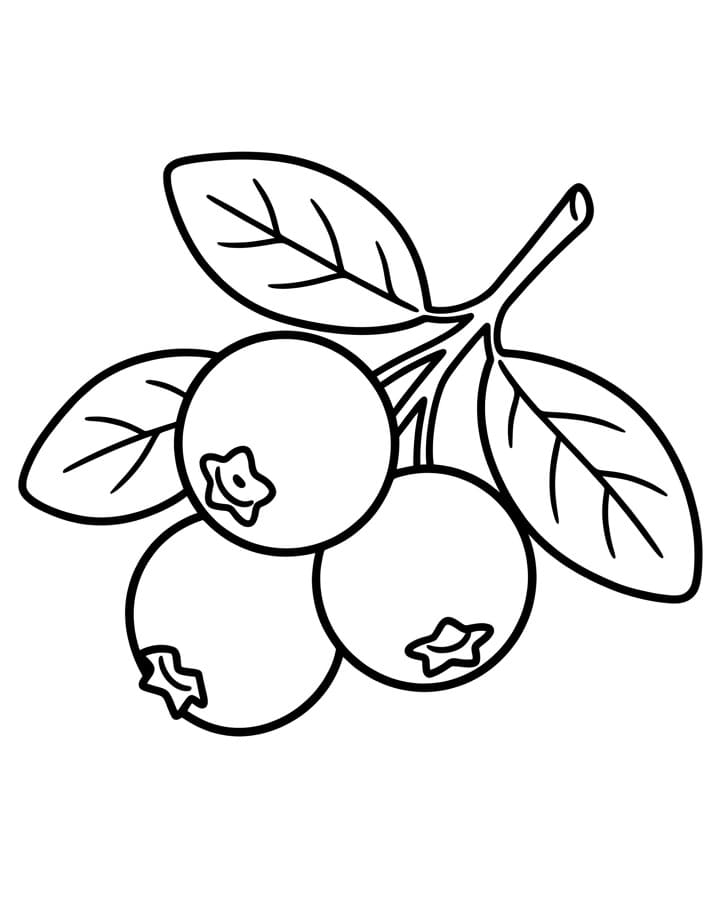 Áfonya 2 Éves Gyerekeknek