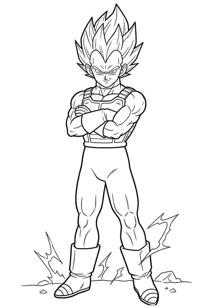 Anime Dragon Ball Z Vegeta