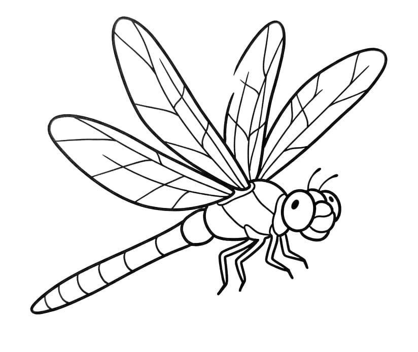Repülő Szitakötő