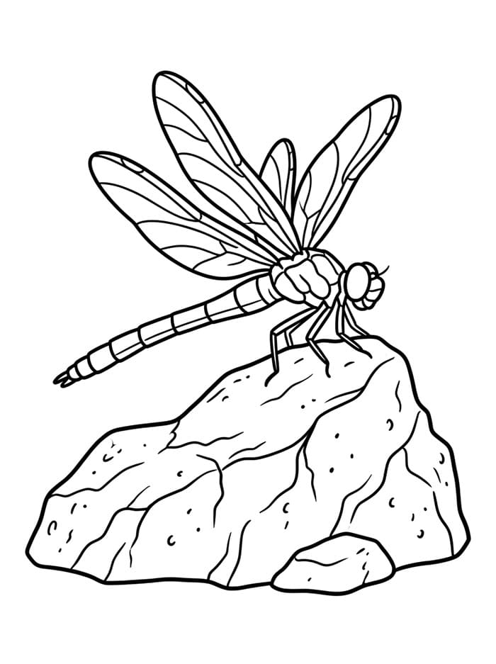 Szitakötő sziklán